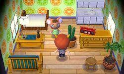 Maybe you would like to learn more about one of these? Canberra Animal Crossing Wiki Fandom