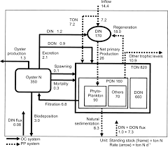 The importance of nitrogen and the nitrogen cycle. Schematic Diagram Of Nitrogen Cycle In The Primary Production Pp Download Scientific Diagram