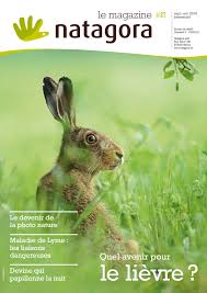 Transmise par piqûre de tiques dures ixodes, c'est une maladie bactérienne, due à une borrélie. Quel Avenir Pour Le Lievre Natagora