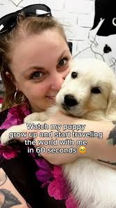 Watch him grow up to travel the world with me 🥹 , He’s flown a total of 3x  now and he’s only 2yo! We have a ton more places to see and visit — as a  trained service dog he’s able to go almost ...