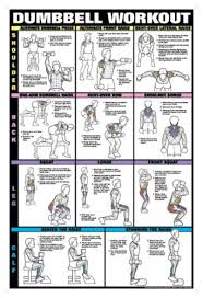 dumbbell workout ii 24 x 36 laminated chart shoulder