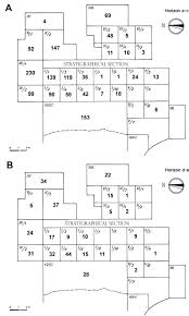 400 uni are claimable by each address that has ever called the uniswap v1 or v2 contracts. A Site With Mixed Occupation Neanderthals And Carnivores At Erd Hungary Sciencedirect