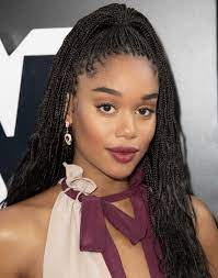 The Coolest Box Braids Hairstyles To Try In 2020 In 2021 Micro Braids Hairstyles Twist Braid Hairstyles Small Box Braids