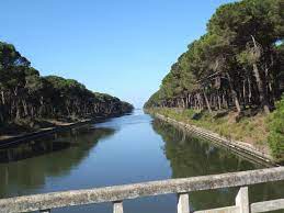Parco Regionale Migliarino San Rossore Massaciuccoli Pisa Italy Top Tips Before You Go Tripadvisor Pisa Trip Advisor San