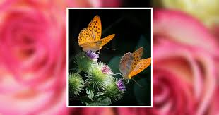 Ruth Hacker Obituary May 1, 2024