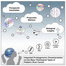 Doctors and researchers do not know what causes most childhood tumors, including brain stem glioma. Integrated Proteogenomic Characterization Across Major Histological Types Of Pediatric Brain Cancer Sciencedirect
