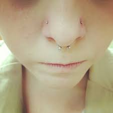 Septum And Double Nostril Google Search Cute Ear Piercings Nose Piercing Ear Piercings Tragus