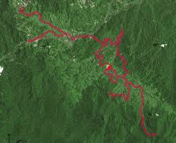The janda baik ultra ultra marathon event takes place at janda baik in malaysia. Trace De Trail Janda Baik Ultra 2019 Jbu 100