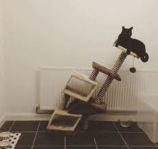 Sobre et élégant, cet arbre à chat design est conçu dans des matières naturelles qui lui confèrent un cachet supplémentaire : Arbre A Chat Adulte Pour Un Chat Perche 100 Heureux