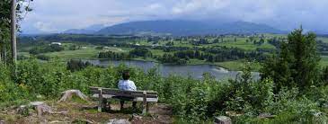 Wald und feld zum schwarzenberger weiher, wo sich die seenlandschaft an einem bronzenen landschaftsmodell ertasten lässt. Schwarzenberger Weiher