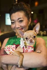 Haute Dog fashion show brings out prime pooches