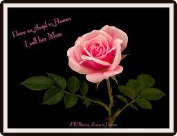 We did not find results for: Pin By Zita Giacoletti On Missing My Loved Ones In Heaven Flowers Photography Rose Beautiful Flowers