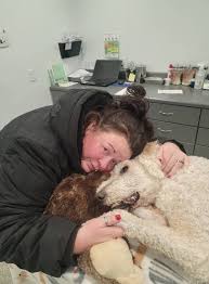 It's been 1 month, since my beautiful boy was, ( ran over,