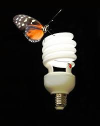 Why Are Bugs Attracted To Light Wonderopolis Porch Lighting Lighting