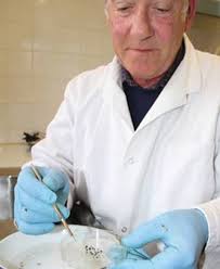 Be 'Alert' to changes with the WeBS report