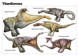 The Diversity Of Titaniformes By Nemo Ramjet On Deviantart Weird Creatures Creature Design Monster Concept Art