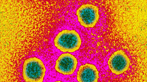 Des dirigeants de haut niveau, des responsables de la promotion de la santé et des représentants de patients, issus d'organisation mondiales, régionales et nationales, seront mobilisés. Hepatitis Ist In Deutschland Weit Verbreitet