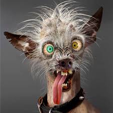 Pin On Just 4 Laughs