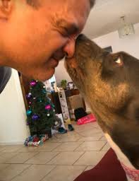 Good morning. I'm extremely saddened to report that Bella, the wonderful  momma to so many wonderful bernedoodle puppies, passed away last night. She  had bloat or GDV. This is so scary and