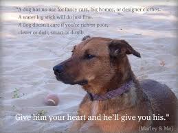 Marley and me important quotes. Me And My Dog Quotes Quote Dogs John Grogan Owen Wilson Marley Me Marley And Me Dog Quotes I Love Dogs