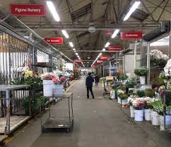 Maybe you would like to learn more about one of these? Fundraiser For Sf Flower Market Workers Aims To Cover Payroll For Shuttered Flower Vendors
