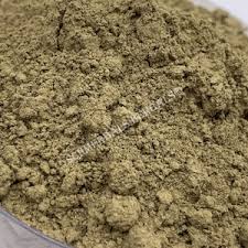 Image result for Phyllanthus engleri