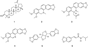 Image result for Zanthoxylum gilletii