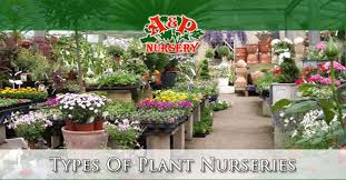 Plants and flowers nursery near me. Types Of Plant Nurseries A P Nursery