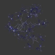 3d Model Neural Network 3d Model 3d Anatomy Model