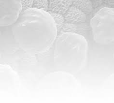 Image result for Diclis tenella