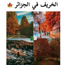 pin by aɫiŝae on alger iphone wallpaper eyes beautiful pictures pictures