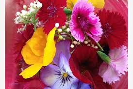 Immagini e cartoline nuove con la scritta buona notte. A Tavola Con I Fiori Commestibili Tiscali Ambiente