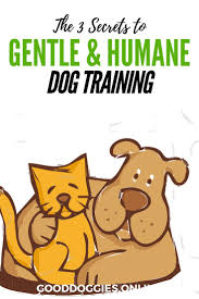Pee, poop, and the occasional vomit, a nice. Humane Dog Training Gentle Dog Training Guide Good Doggies Online Dog Training Near Me Dog Training Obedience Dog Training