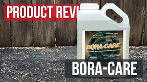 Boracare Product Review Youtube