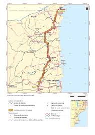 Image result for Ascolepis lineariglumis