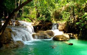 Piscine Naturelle 14 Dakarbuzz