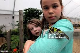 3,686 Wagstaff Stock Photos, High-Res Pictures, and Images