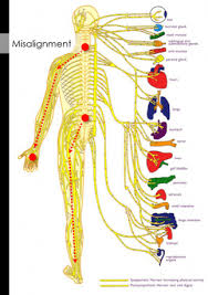 Numbness And Tingling Full Potential Chiropractic Singapore