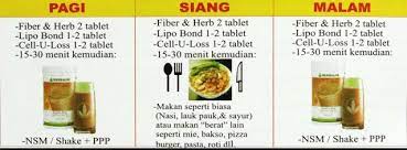 Ga pake obat2an ada yang mau naik bb spt ratih? Cara Diet Herbalife Yang Benar Dan Betul Untuk Turun Berat
