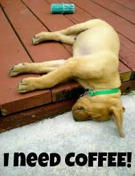 I Need Coffee Need Coffee Coffee Humor Coffee Quotes