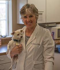 Check spelling or type a new query. Our Doctors Veterinarian In Boise Idaho Companions Animal Hospital