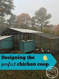 designing your perfect coop chickens backyard backyard poultry building a chicken coop