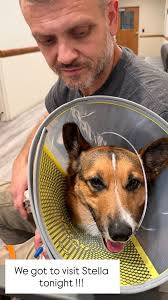 Redacted person is home after hospital stay