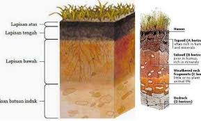 Atmosfer merupakan lapisan udara yang menyelubungi atau menyelimuti bumi hingga pada ketinggian 560 km. Pengertian Ciri Dan Manfaat Tanah Top Soil Ilmu Pertanian