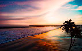 The university of california, san diego is making an international impact with research and health care programs around the globe that fight diseases such as hiv/aids, tuberculosis, and malaria. Cropped Coastal Sd Website Background Jpg Coastal San Diego Rentals