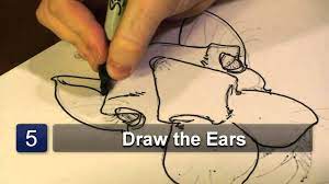 Camels are a popular animal for children who are thinking to draw a desert time to learn how to draw a camel using a front view. How To Draw A Camel Face Youtube