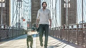 Shop affordable wall art to hang in dorms, bedrooms, offices, or anywhere blank walls aren't welcome. John Wick Chapter 2 2017 Imdb