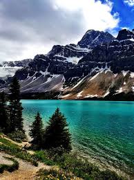 Bow Lake In Jasper National Park Canada صور كندااكتشف كندا اجمل بلد في العالمشاهد صور الطبيعة الخلابة المنا Pemandangan Fotografi Alam Fotografi Pemandangan