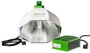 Maybe you would like to learn more about one of these? Greenbeams 315w Ceramic Metal Halide Cmh 240v Grow Light System W 4200k Bulb Kush And Kind