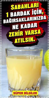 Bagirsaklarinizdan Kilolarca Toksin Cikartan Karisim Aslinda Obez Veya Fazla Kilolu Olmayan Kisiler De Bile Bagirsakl Diyet Dogal Tedaviler Bitkisel Tarifler